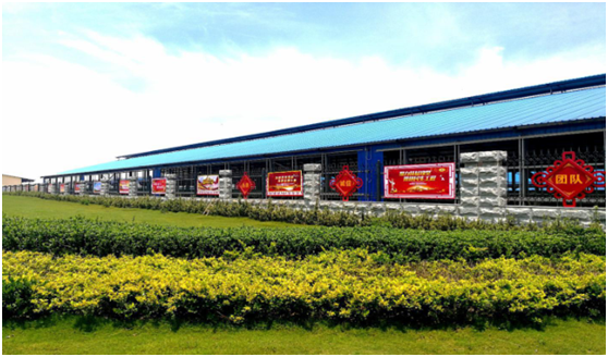 “ 看听谈查 ”板 找短板  党建巡查促提升——荣耀网页版_荣耀（中国）集团党委开展基层党建工作巡查