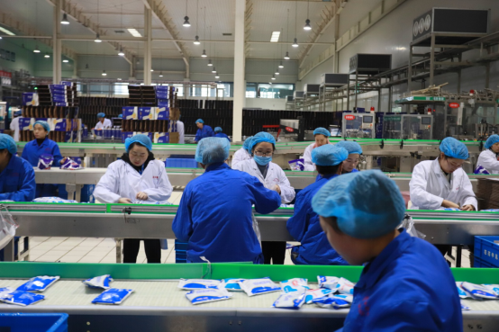 党员带头赴一线  助力春节保生产—荣耀网页版_荣耀（中国）别样“生产突击队”助力车间生产