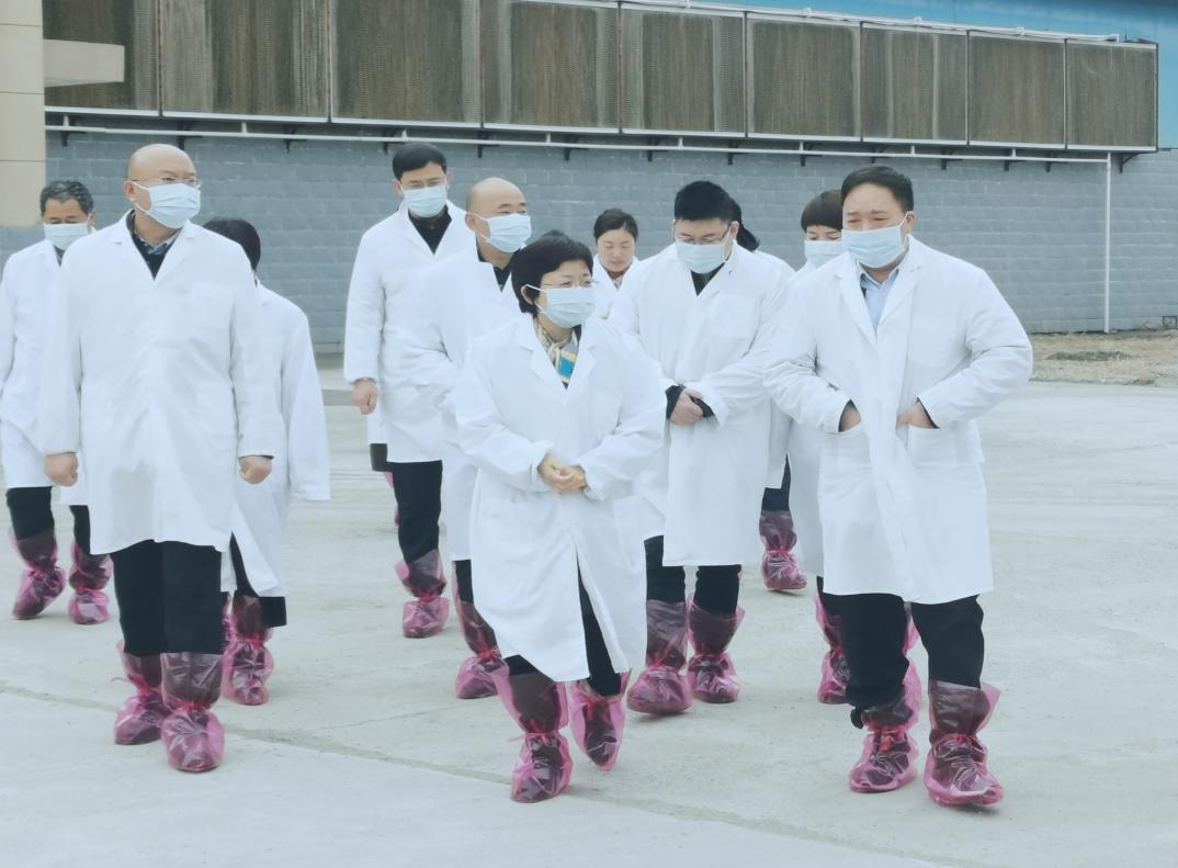 河南省郑州市人民政府副市长李凤芝一行莅临荣耀网页版_荣耀（中国）河南瑞亚参观调研