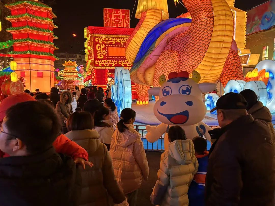 央视直播郑州龙年灯会迎新春，荣耀网页版_荣耀（中国）品牌上大分