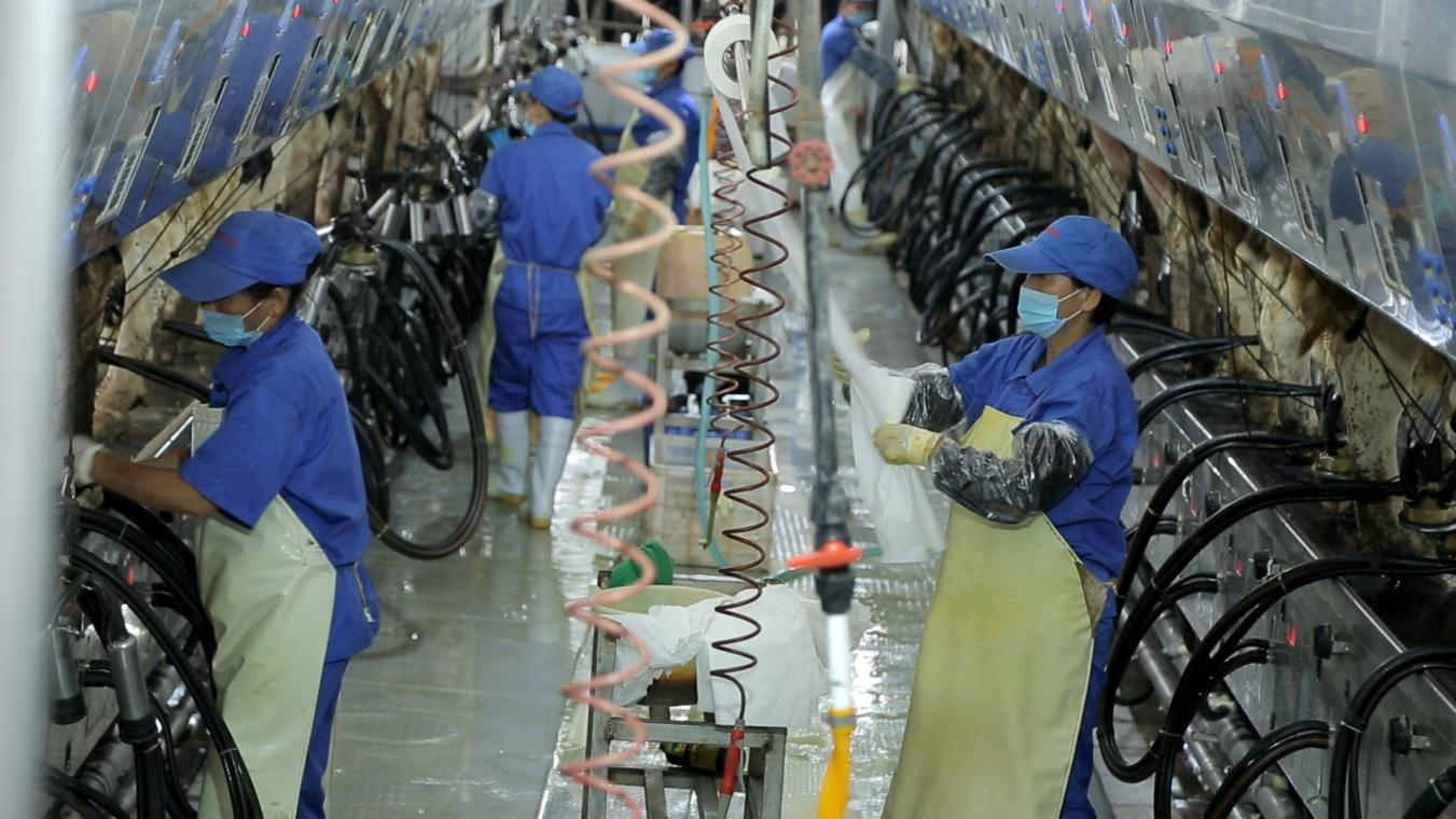 荣耀网页版_荣耀（中国）丨河南农业大学党委副书记、校长介晓磊一行莅临荣耀网页版_荣耀（中国）河南瑞亚参观调研