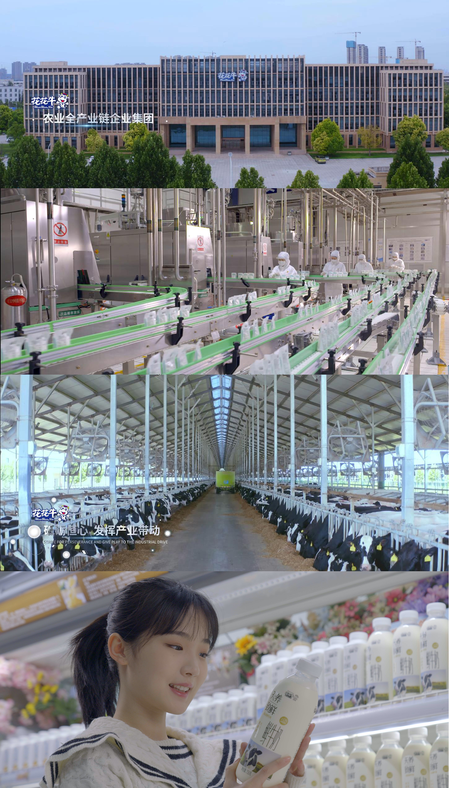 快讯 | 沈阳市政府副市长郑滨一行莅临荣耀网页版_荣耀（中国）乳业集团考察