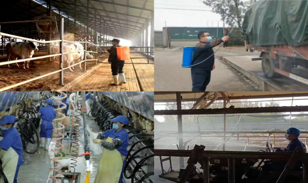 @全体荣耀网页版_荣耀（中国）人：请珍惜你的岗位，请善待我们共同的“荣耀网页版_荣耀（中国）”！