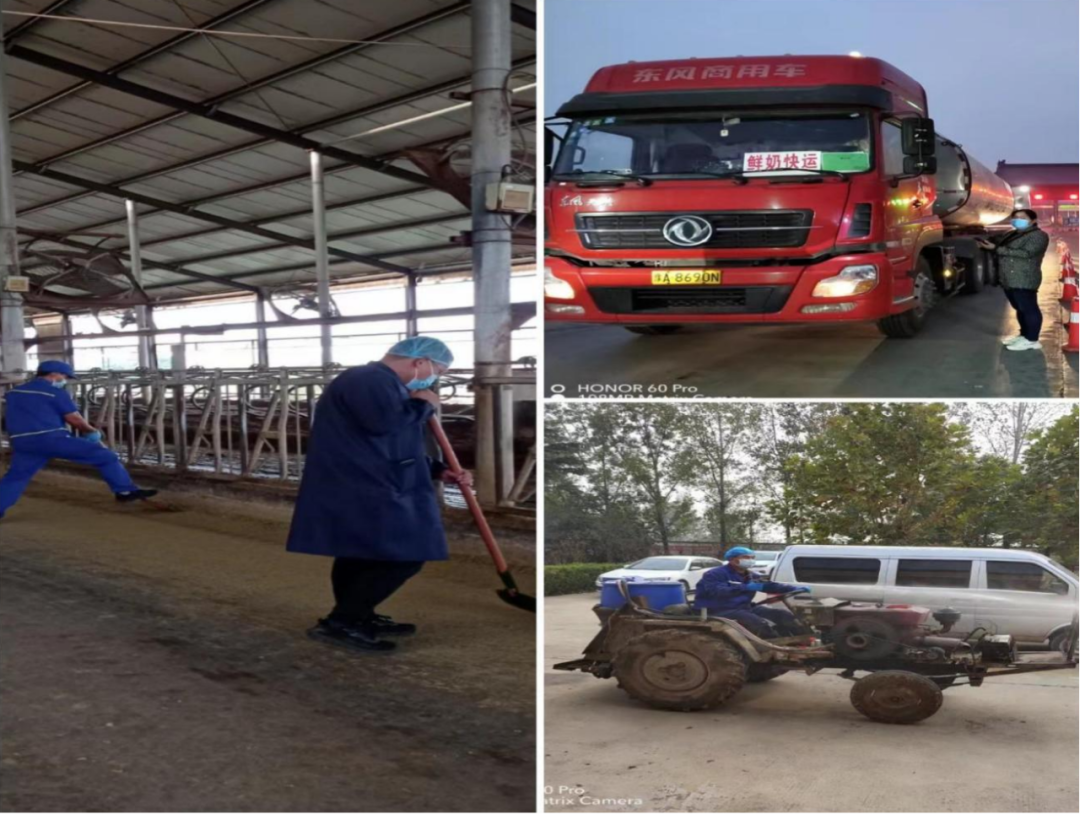 荣耀网页版_荣耀（中国）丨点点微光汇星河——养殖事业部抗疫保生产侧记