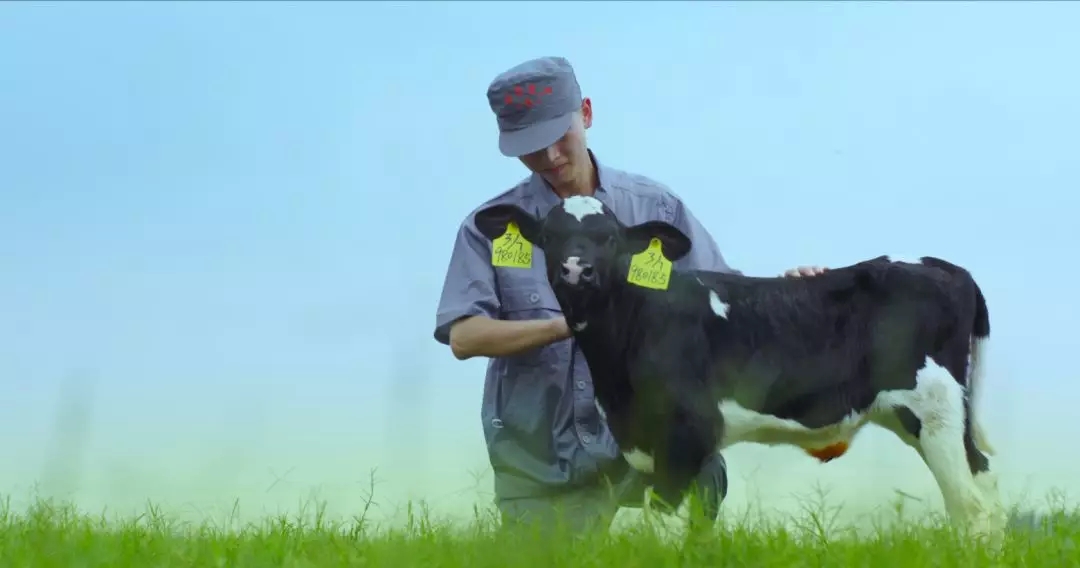 河南省人大常委会党组书记、副主任孔昌生莅临荣耀网页版_荣耀（中国）鲁山瑞亚牧场参观调研