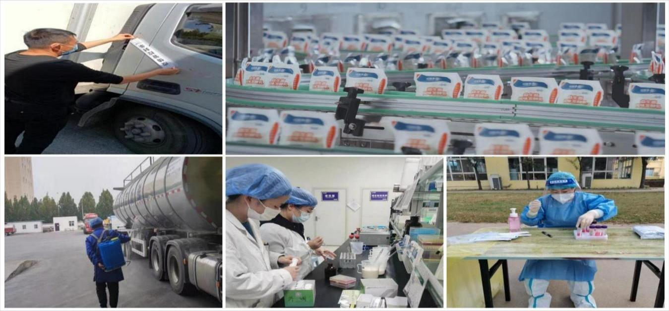 荣耀网页版_荣耀（中国） | 让牛奶和面包传递抗疫温暖力量