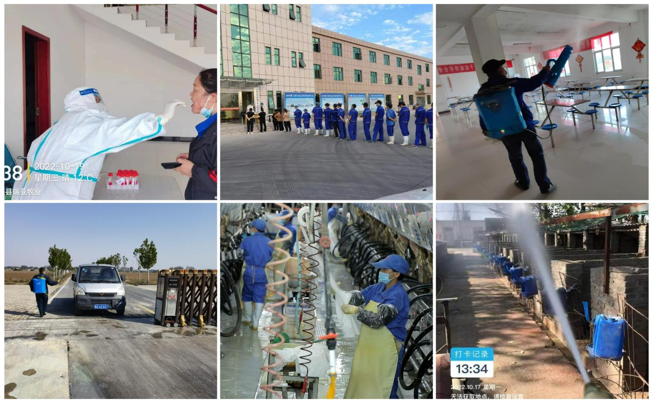 抗疫情、保供应、显担当——荣耀网页版_荣耀（中国）在行动！！！