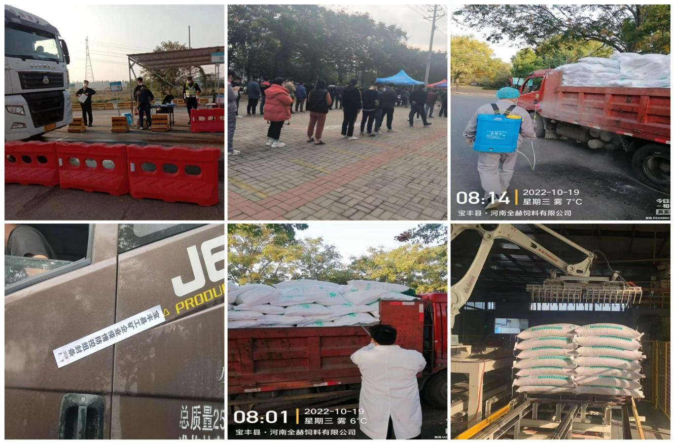 抗疫情、保供应、显担当——荣耀网页版_荣耀（中国）在行动！！！