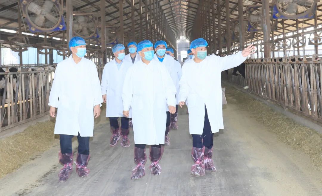 快讯丨河南省人民政府副省长武国定莅临荣耀网页版_荣耀（中国）乳业集团瑞亚牧业调研奶源基地建设情况