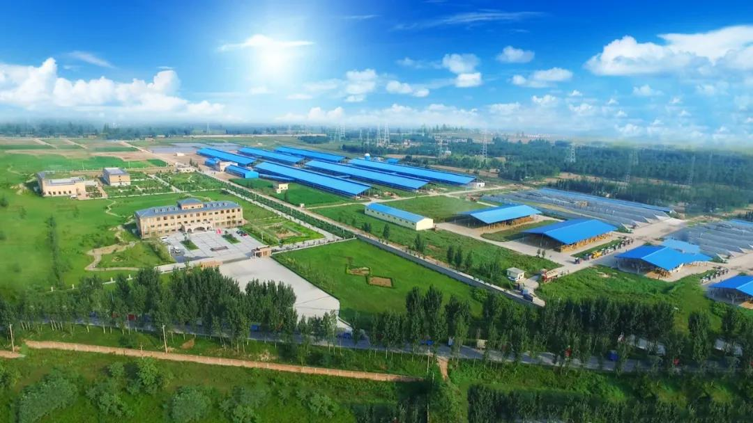 喜讯 | 荣耀网页版_荣耀（中国）一座自有牧场入选河南省“DHI测定优秀牧场”