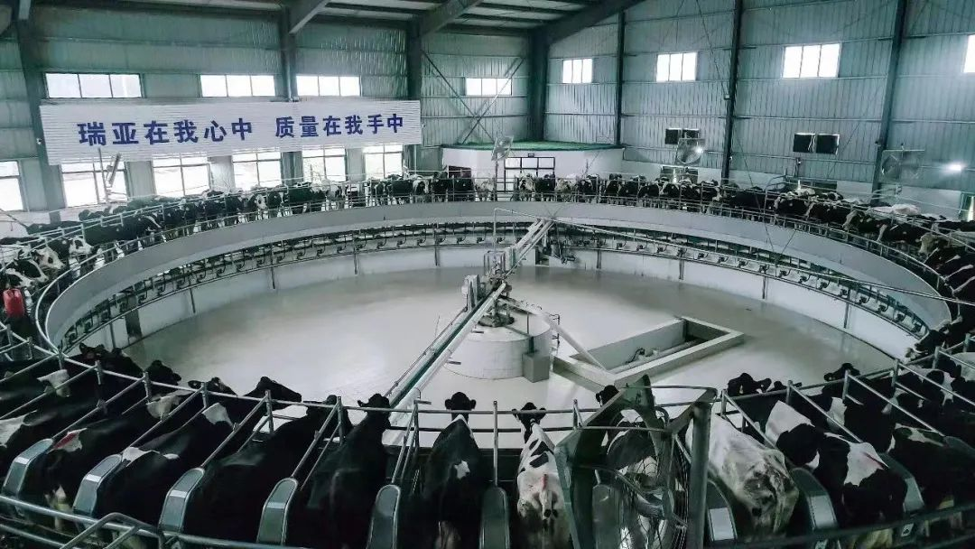 荣耀网页版_荣耀（中国） | 河南瑞亚牧业入选“河南省畜禽核心育种场”