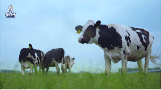 河南省高级人民法院院长胡道才一行莅临荣耀网页版_荣耀（中国）乳业集团开展“万人助万企”活动 助力企业发展