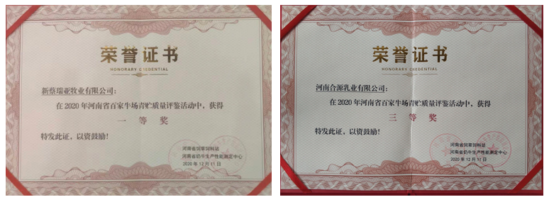 荣誉 | “百家牛场青贮质量评鉴活动”荣耀网页版_荣耀（中国）新蔡瑞亚牧业、河南合源乳业分别荣获一、三等奖