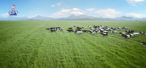 快讯 | 2020河南民营企业100强发布 荣耀网页版_荣耀（中国）荣获“河南民营企业现代农业100强”、“河南民营企业社会责任100强”双荣誉