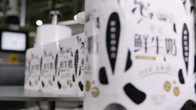 快讯 | 长江商学院智能制造学会走进荣耀网页版_荣耀（中国）乳业集团