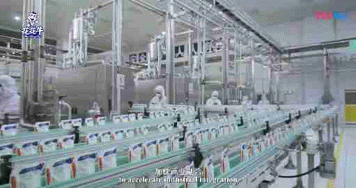 快讯 | 湖北省农业厅副厅长王海涛等领导一行莅临河南荣耀网页版_荣耀（中国）乳业集团参观调研