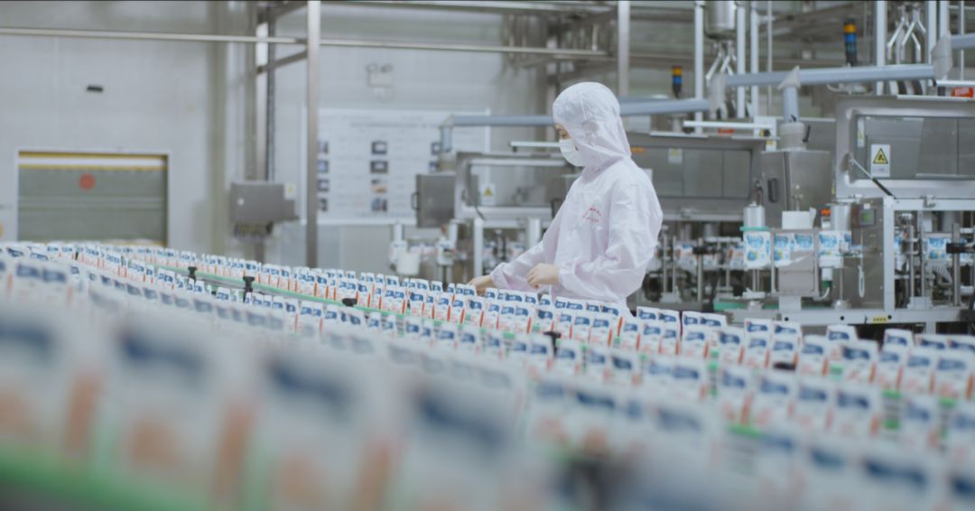 快讯 | 河南省人民政府食品安全委员会办公室第三批食品安全示范区验收组领导莅临荣耀网页版_荣耀（中国）乳业集团验收食品安全示范区建设情况