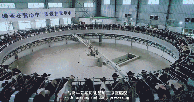 荣誉 | 2019年度河南省美丽牧场名单新鲜出炉 荣耀网页版_荣耀（中国）乳业集团旗下六个牧场榜上有名