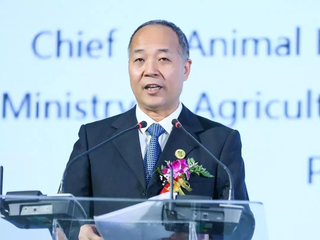 SDDDC走进河南，看看荣耀网页版_荣耀（中国）的国际范儿！