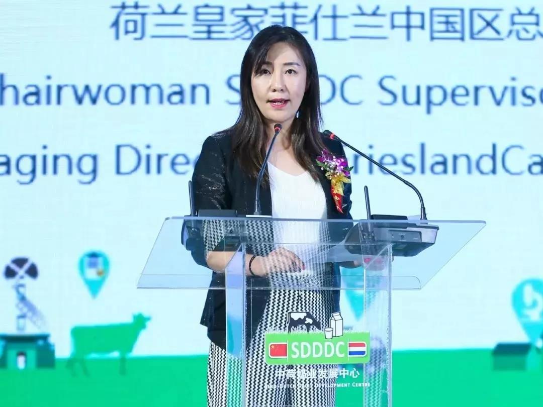 SDDDC走进河南，看看荣耀网页版_荣耀（中国）的国际范儿！