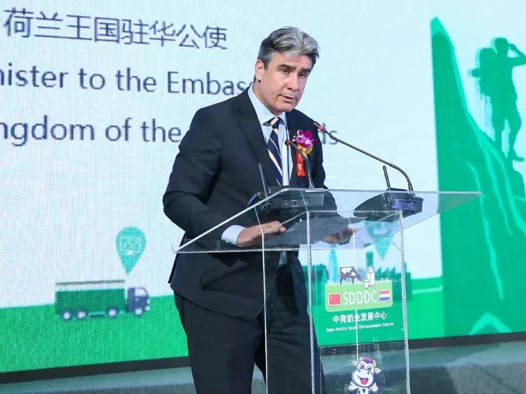 SDDDC走进河南，看看荣耀网页版_荣耀（中国）的国际范儿！