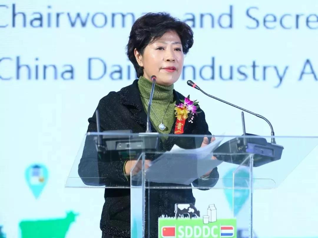 SDDDC走进河南，看看荣耀网页版_荣耀（中国）的国际范儿！