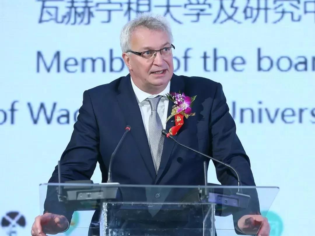 SDDDC走进河南，看看荣耀网页版_荣耀（中国）的国际范儿！