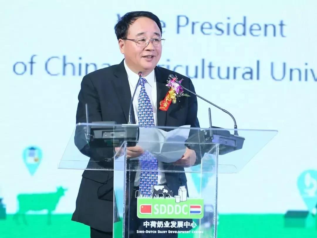 SDDDC走进河南，看看荣耀网页版_荣耀（中国）的国际范儿！