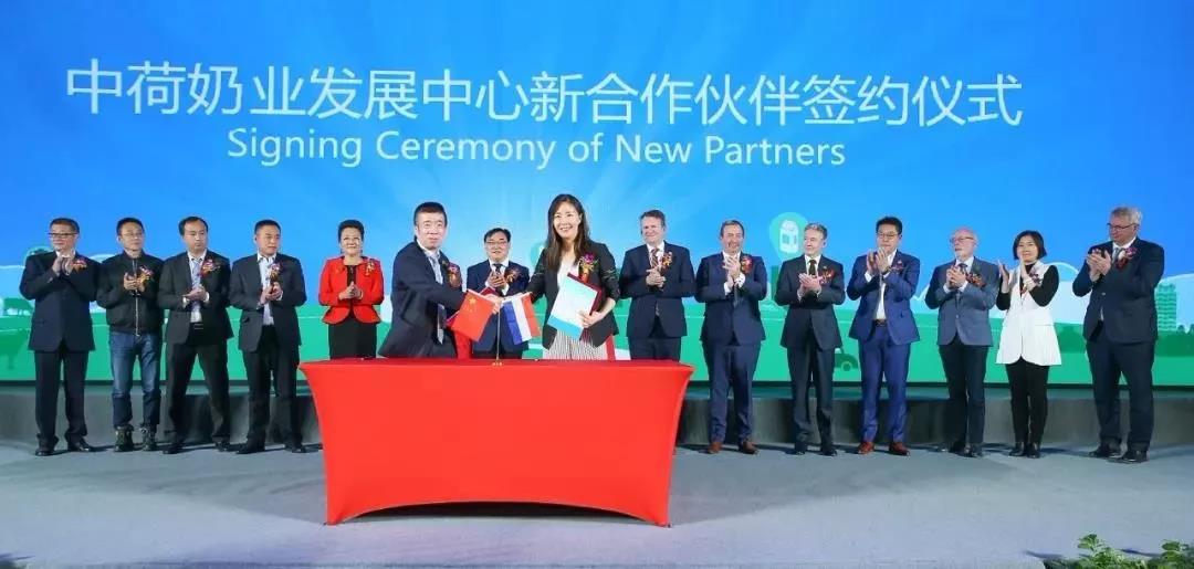 SDDDC走进河南，看看荣耀网页版_荣耀（中国）的国际范儿！