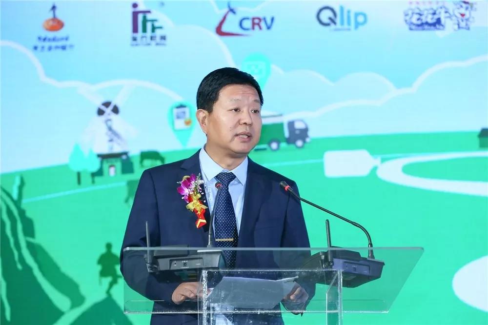 SDDDC走进河南，看看荣耀网页版_荣耀（中国）的国际范儿！