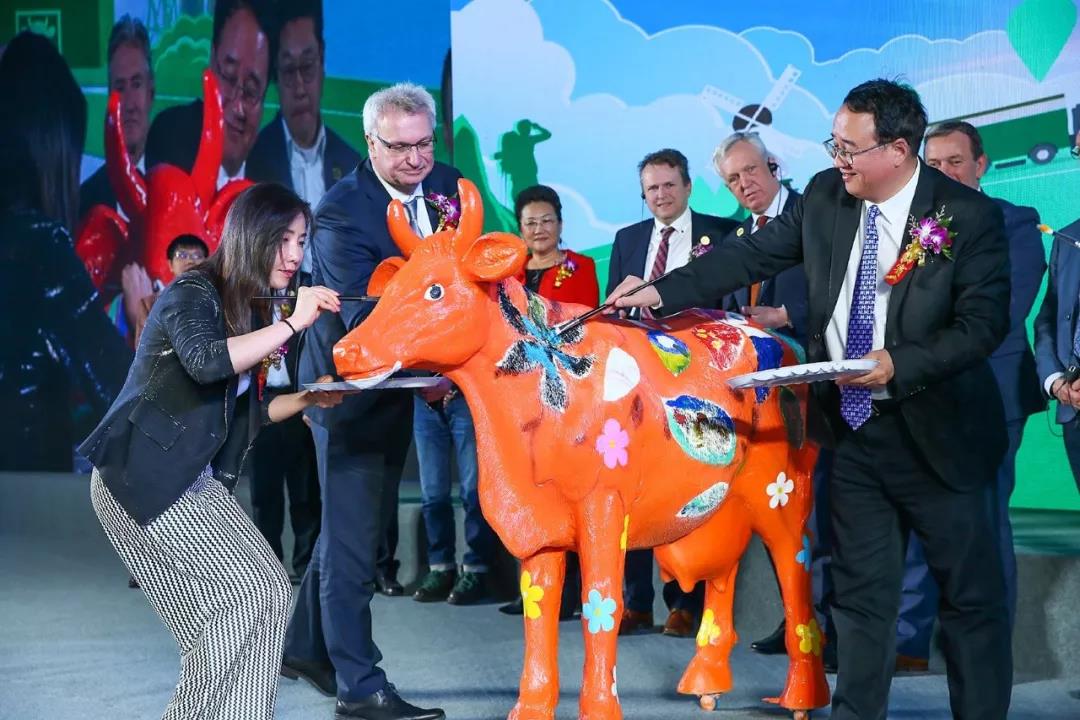 SDDDC走进河南，看看荣耀网页版_荣耀（中国）的国际范儿！