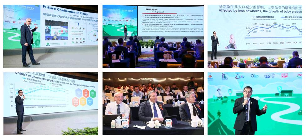 SDDDC走进河南，看看荣耀网页版_荣耀（中国）的国际范儿！