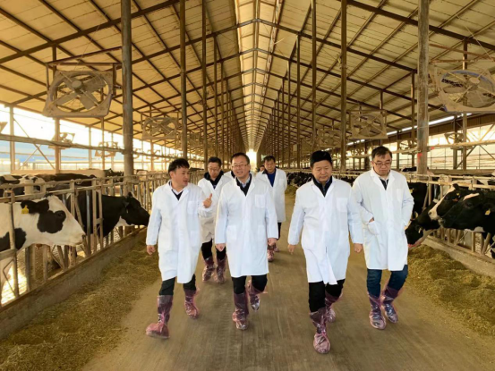 宁夏回族自治区农业农村厅党组书记、厅长王刚一行莅临荣耀网页版_荣耀（中国）乳业集团调研