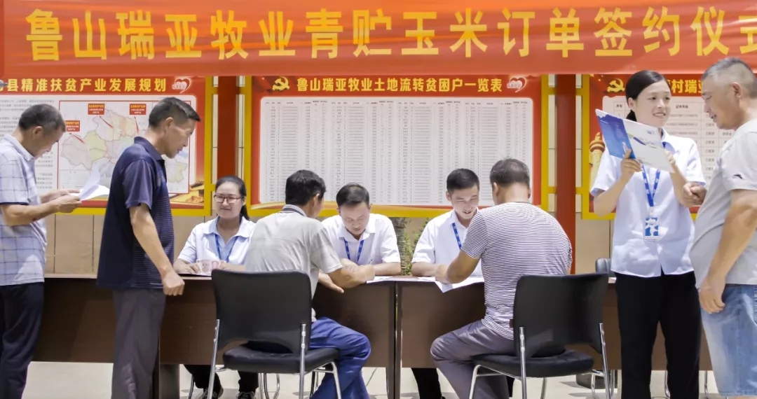 省委书记王国生到河南荣耀网页版_荣耀（中国）乳业集团·新蔡瑞亚牧业有限公司调研