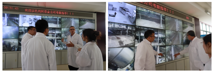 以色列阿菲金农业公司参观考察荣耀网页版_荣耀（中国）瑞亚牧场