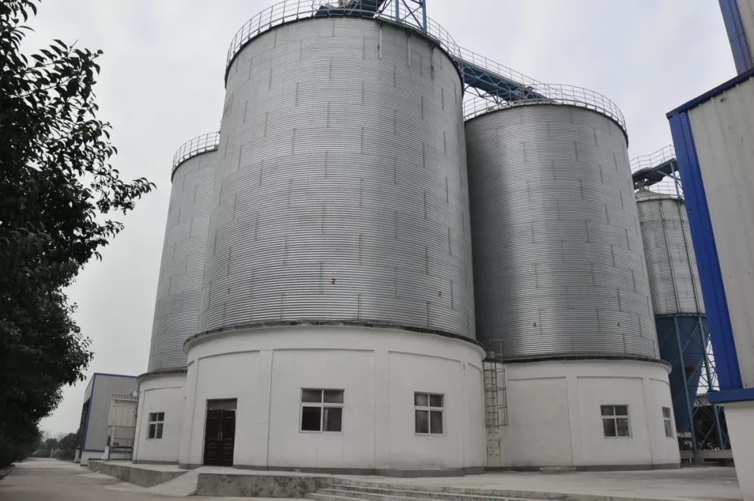 第31届中原畜牧业交易博览会 || 荣耀网页版_荣耀（中国）乳业集团获“河南省畜牧行业——最具影响力品牌”奖