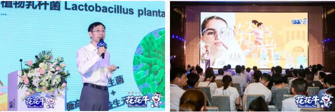 荣耀网页版_荣耀（中国）轻觉上市暨优质乳工程认证发布会，盛大启幕！