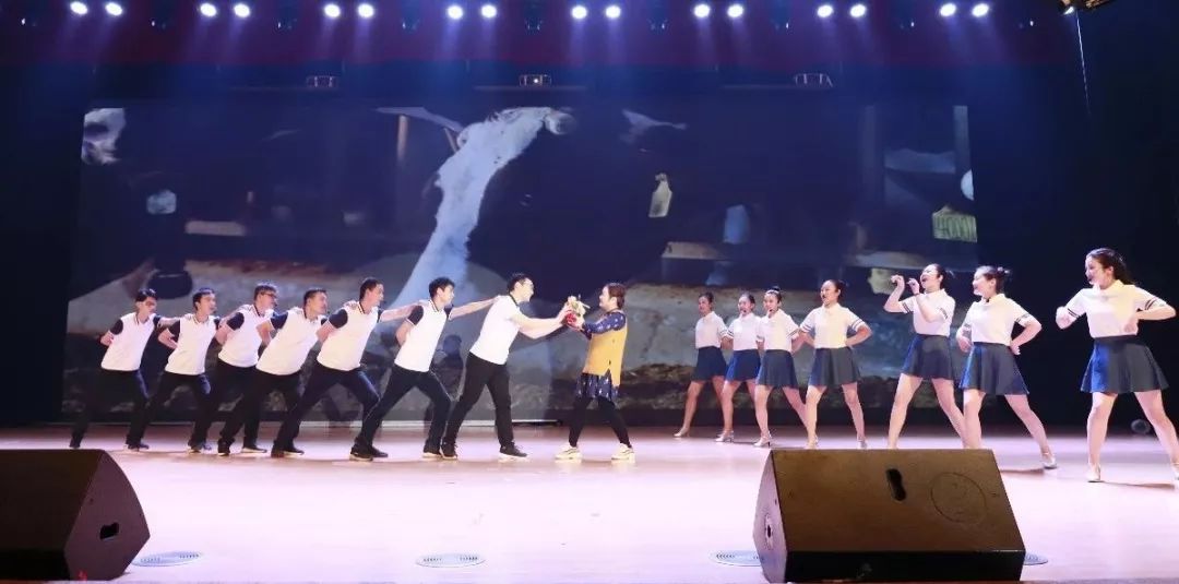 “赢在2019”，荣耀网页版_荣耀（中国）乳业集团2019年新春晚会盛大开幕