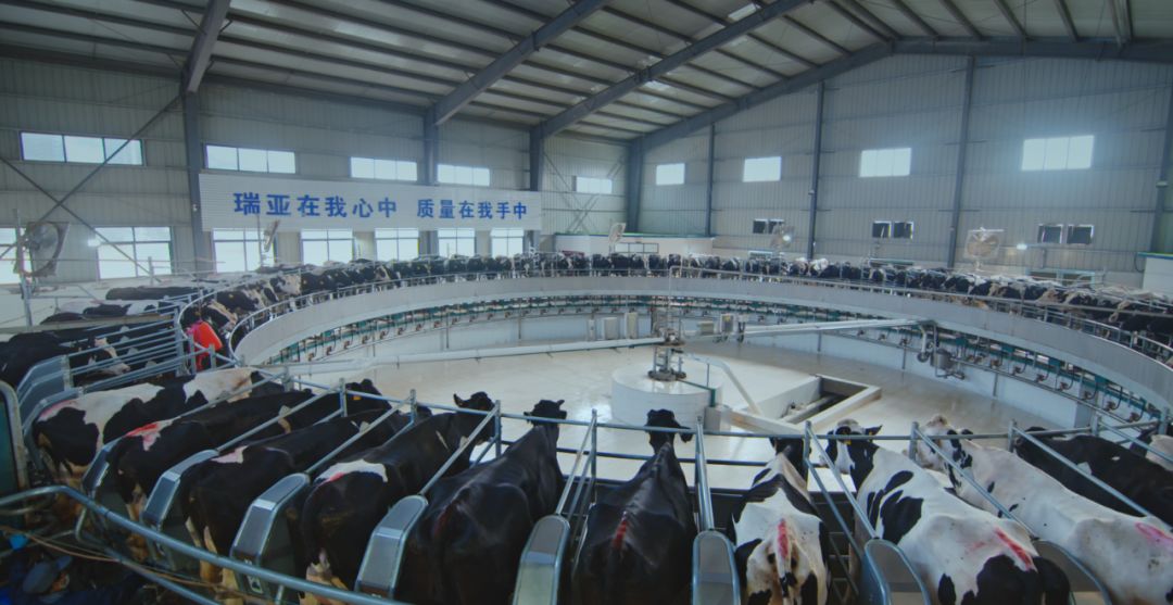 荣耀网页版_荣耀（中国）集团旗下六家公司入选省农业产业化重点龙头企业名单