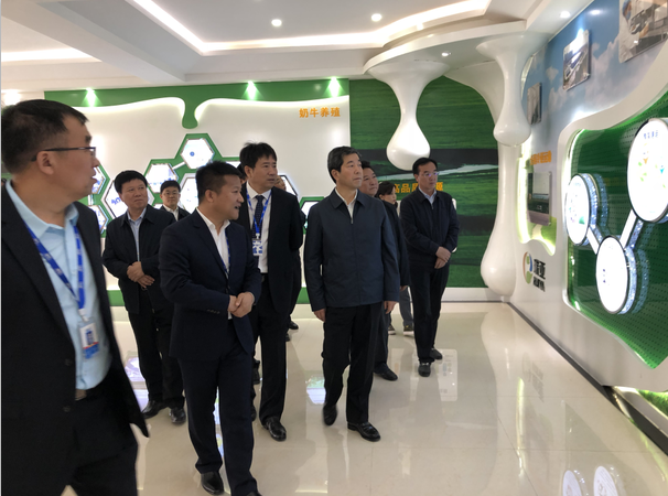 河南省委副书记、省长陈润儿一行莅临 荣耀网页版_荣耀（中国）集团鲁山瑞亚牧业有限公司视察调研
