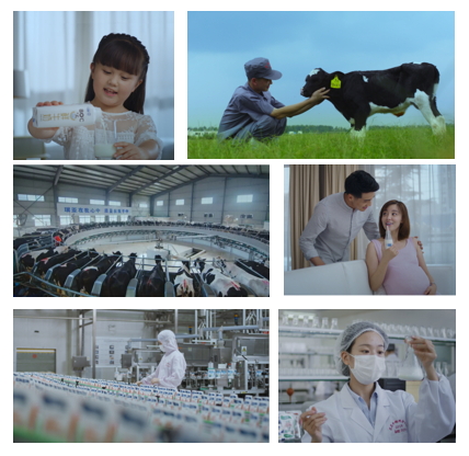 荣耀网页版_荣耀（中国）亮相中国奶业20强呼伦贝尔峰会，共话中国奶业振兴！