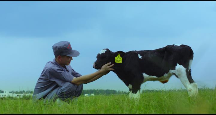 又双叒叕获奖啦！荣耀网页版_荣耀（中国）荣获“乳品质量安全管理 优秀企业”