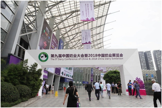 殊荣是奋斗的动力  荣耀网页版_荣耀（中国）荣获三项大奖!!!