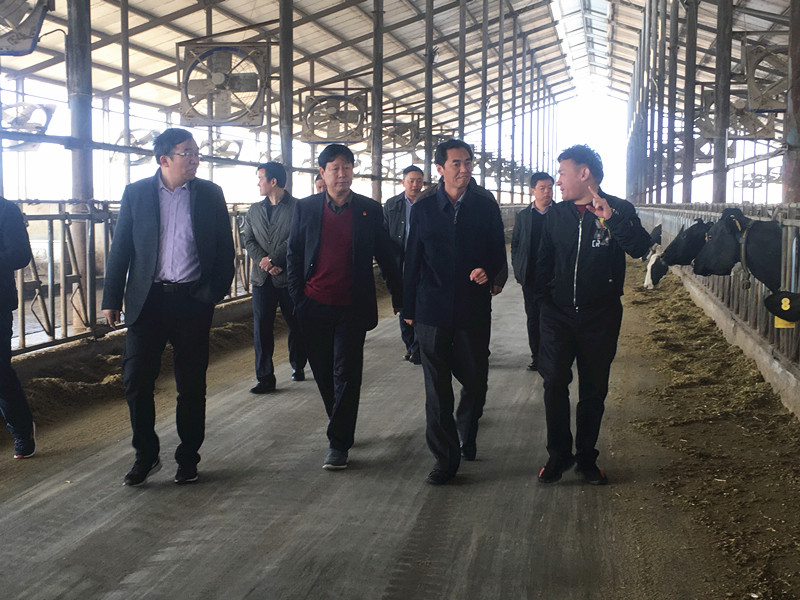 封丘县县长王献臣一行莅临 荣耀网页版_荣耀（中国）集团养殖、乳品事业部参观调研