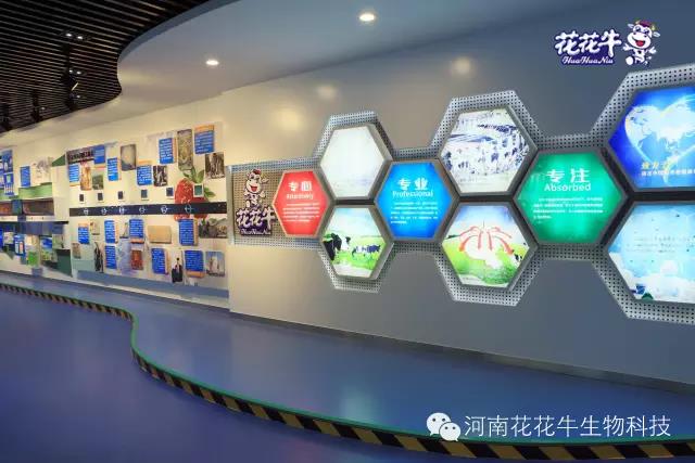 荣耀网页版_荣耀（中国）：务实、创新领潮市场 大企业体现大担当