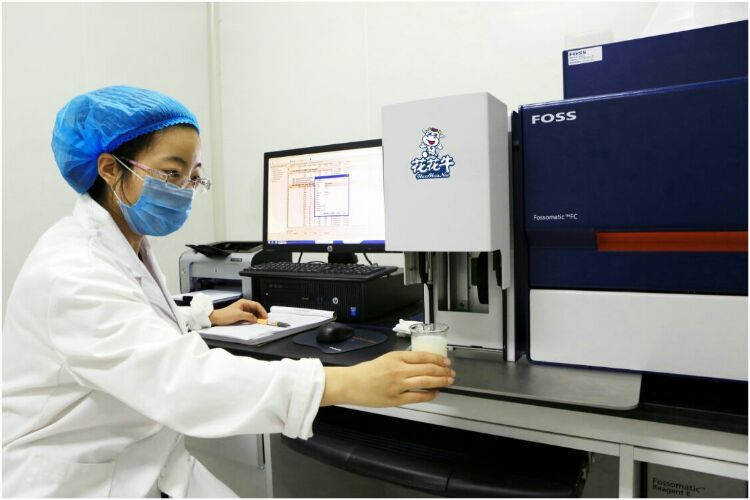 荣耀网页版_荣耀（中国）：务实、创新领潮市场 大企业体现大担当