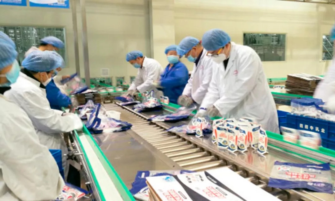 快讯丨河南省副省长武国定莅临荣耀网页版_荣耀（中国）乳业集团调研重点保障企业复工复产情况