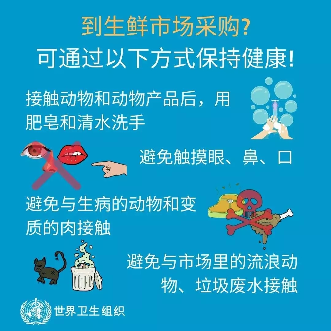 荣耀网页版_荣耀（中国） | 共克时艰、遏制疫情，请相信国家力量！