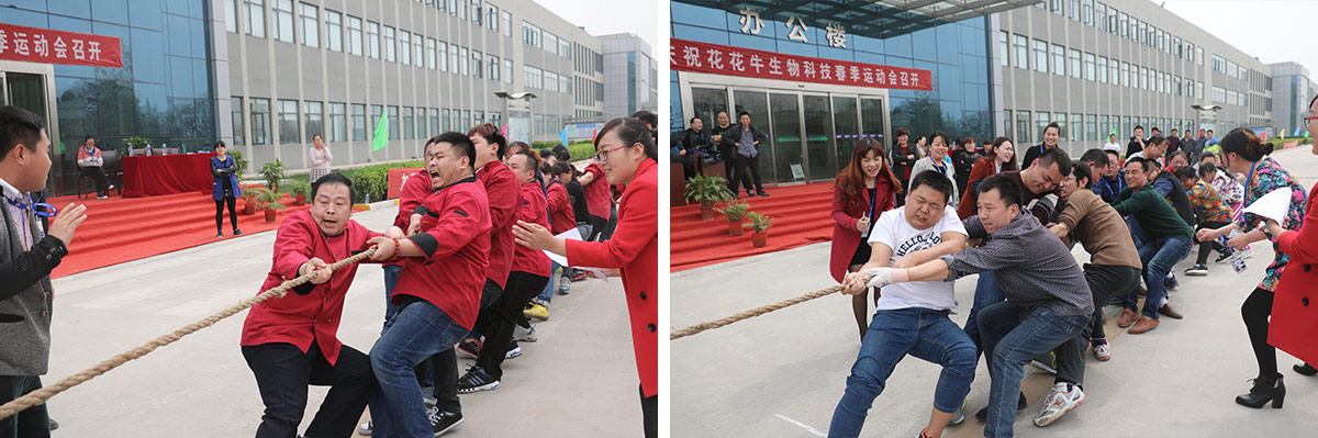 河南荣耀网页版_荣耀（中国）生物科技有限公司举办2016年春季运动会