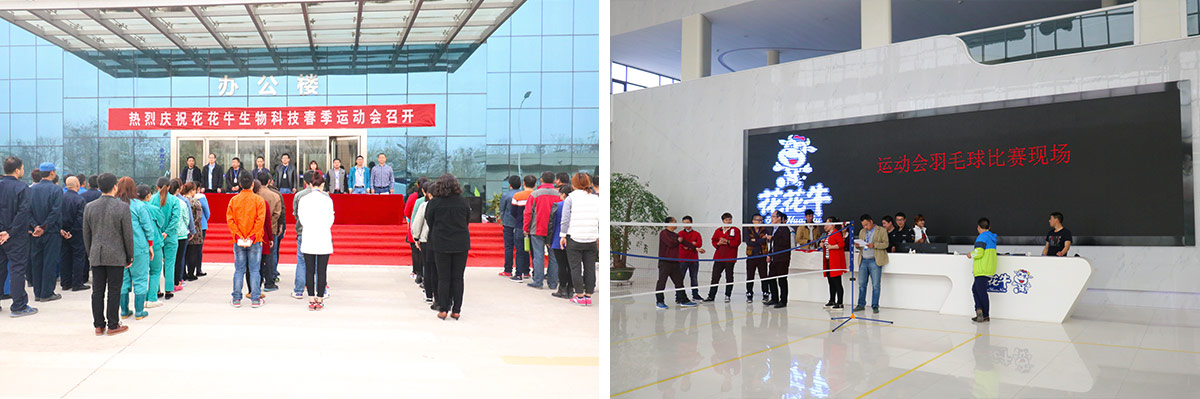 河南荣耀网页版_荣耀（中国）生物科技有限公司举办2016年春季运动会